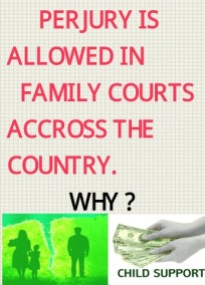 Perjury is Allowed in Family Courts