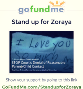 Go Fund Me 1 - Stand up for Zoraya - 2015